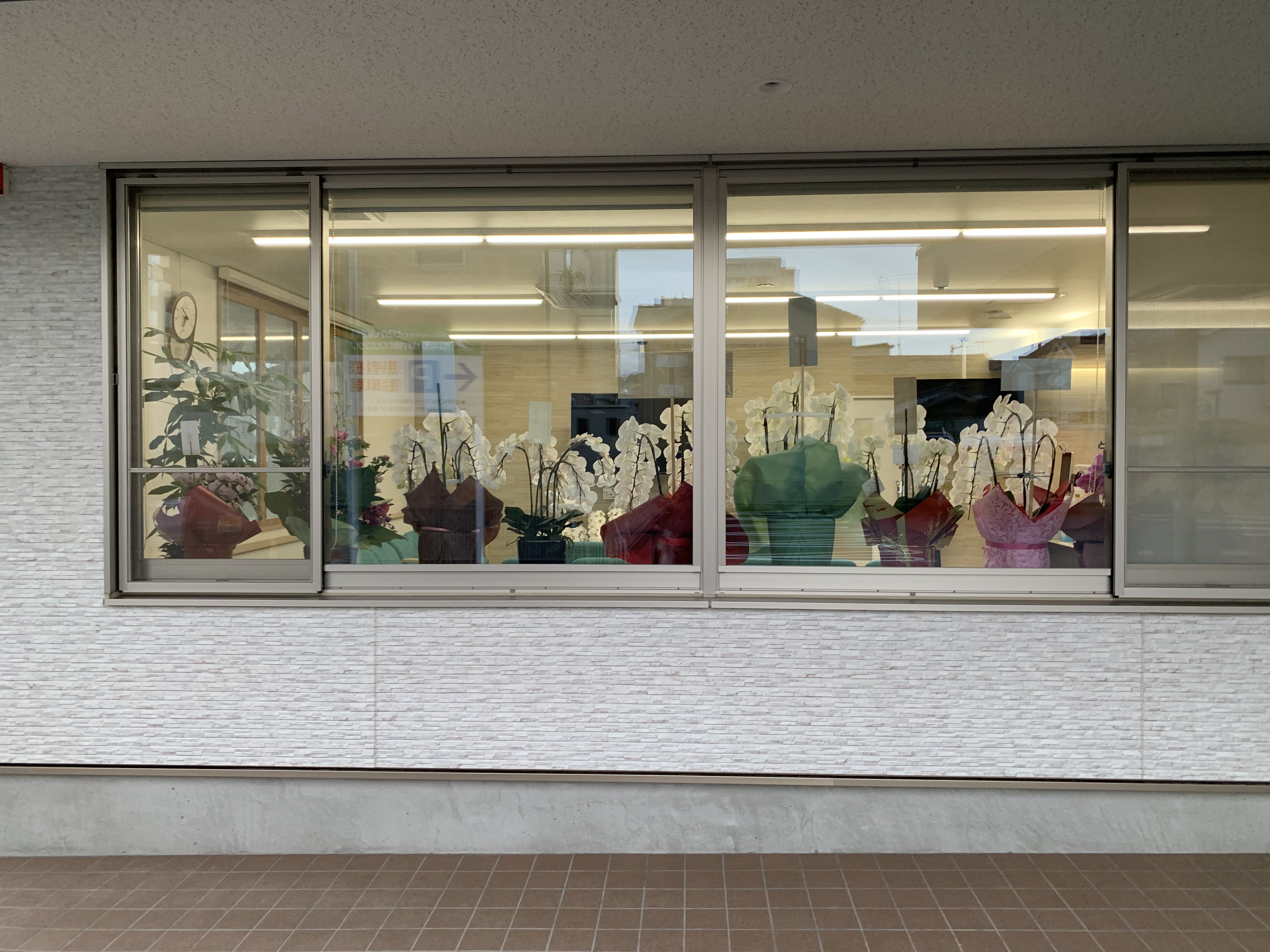 お花